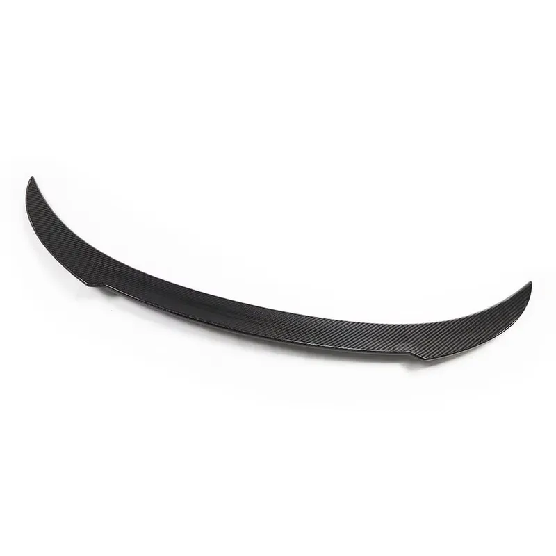 Spoiler Posteriore V Lip in Fi - Bamboo Fiber Trunk recensione e prezzo